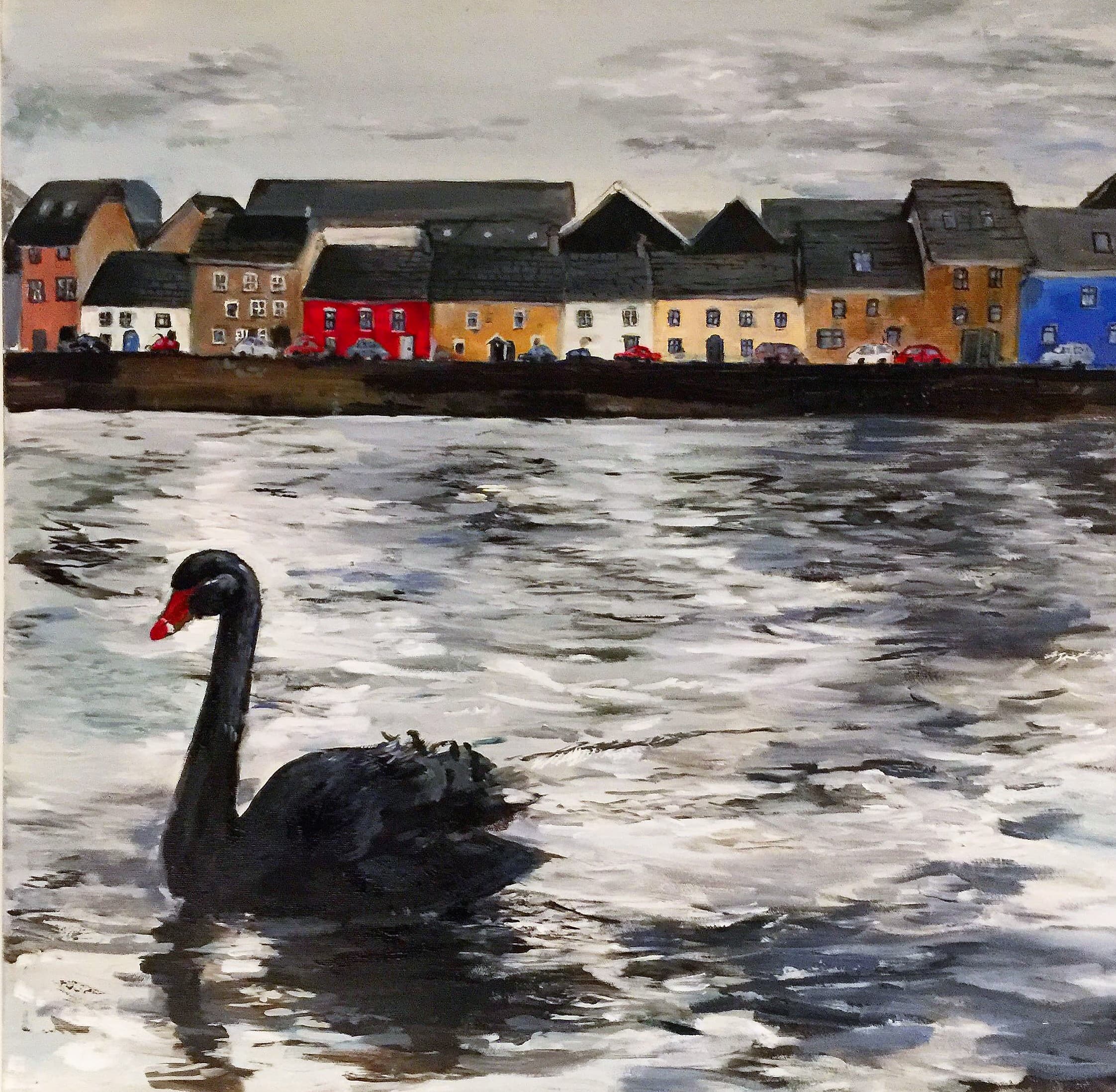 Galway´s Rarity
