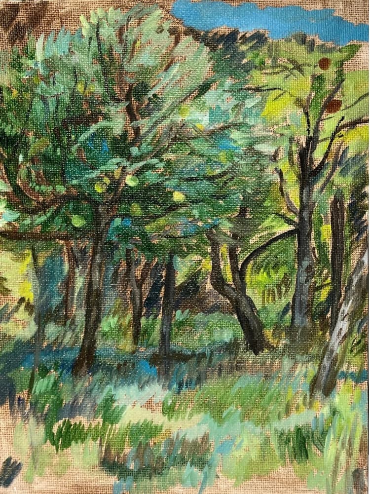 Lainzer Tiergarten